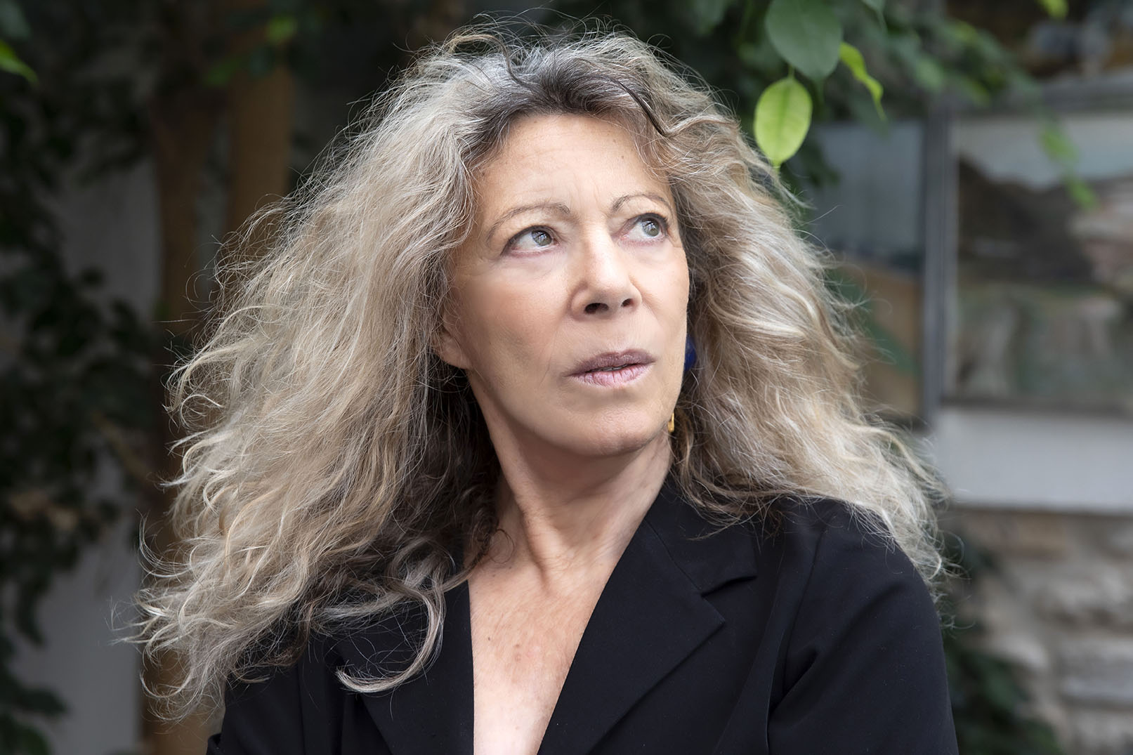 Celine Nieszawer, Flammarion