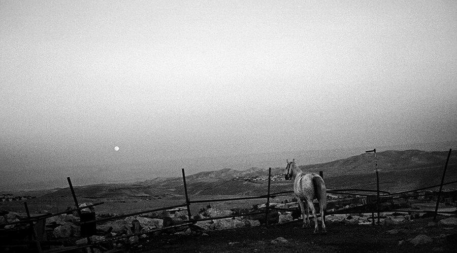 Et la terre se transmet comme la langue ©Olivier Thébaud